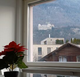 Castle View Big Appartment Vaduz Center